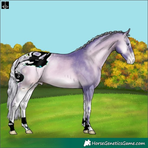 Horse Color:ERROR: UNKNOWN ANOMALY
