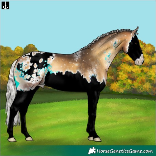 Horse Color:Silver Buckskin Onyx Sabino Splash Appaloosa