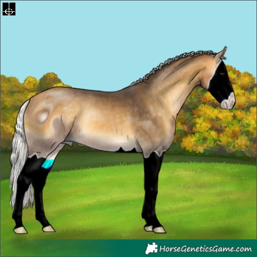 Horse Color:ERROR: UNKNOWN ANOMALY