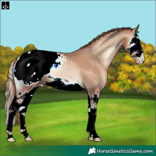 Horse Color:Blue Onyx Pearl Splash Appaloosa