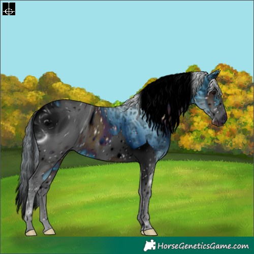 Horse Color:ERROR: UNKNOWN ANOMALY