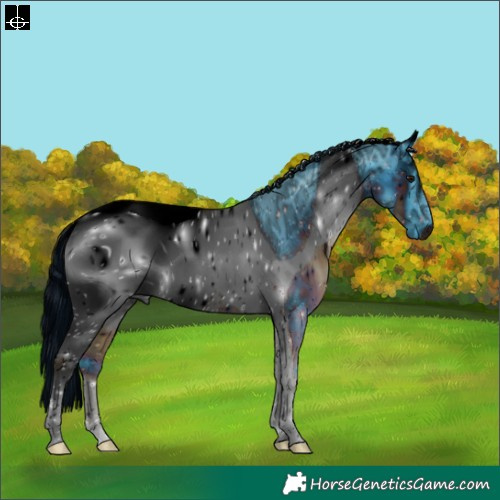 Horse Color:ERROR: UNKNOWN ANOMALY
