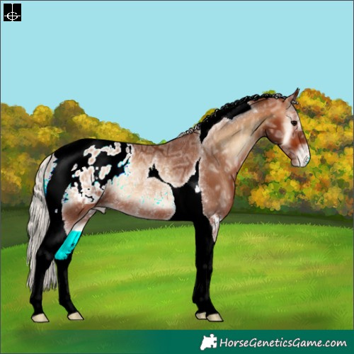 Horse Color:Silver Brown Ice Onyx Tobiano Appaloosa Rabicano 