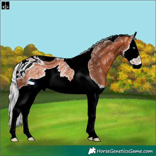 Horse Color:ERROR: UNKNOWN ANOMALY