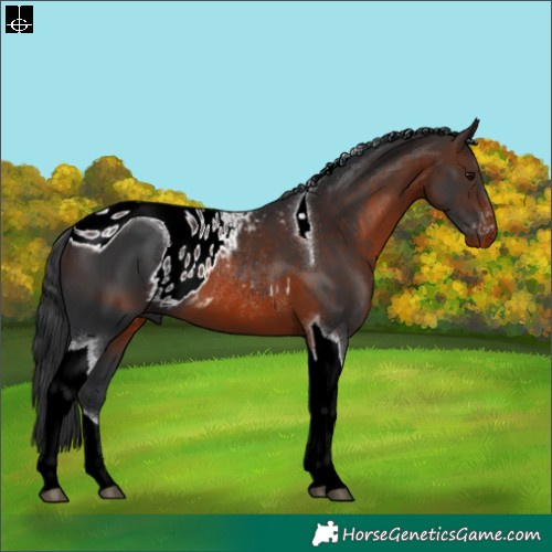 Horse Color:ERROR: UNKNOWN ANOMALY