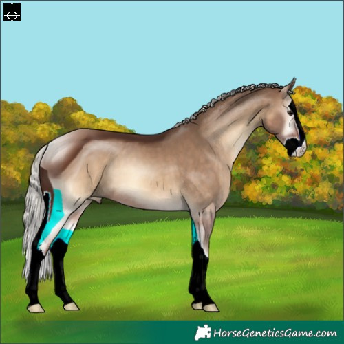 Horse Color:ERROR: UNKNOWN ANOMALY