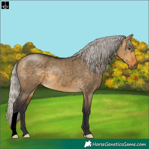 Horse Color:Silver Buckskin Dun 