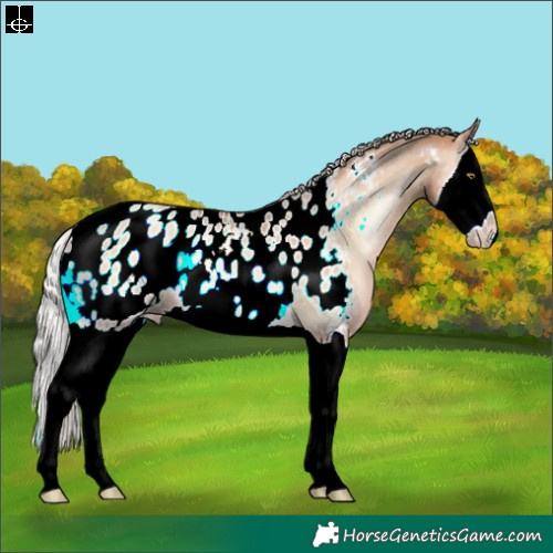 Horse Color:Silver Brown Pearl Onyx Splash Appaloosa 