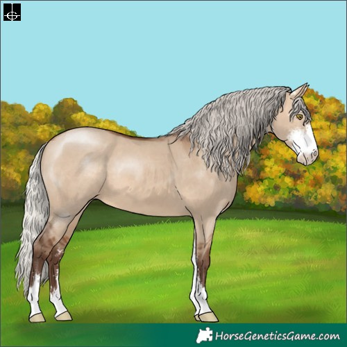 Horse Color:Silver Brown Dun Sabino 