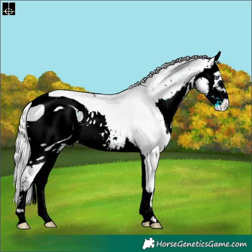 Horse Color:ERROR: UNKNOWN ANOMALY