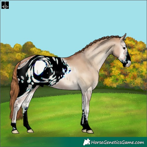 Horse Color:ERROR: UNKNOWN ANOMALY