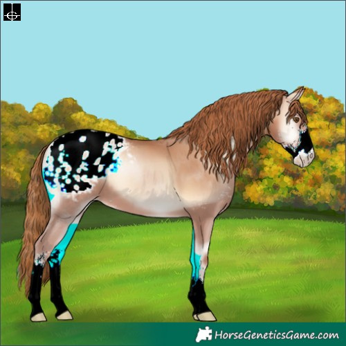 Horse Color:Brown Pearl Onyx Sabino Appaloosa
