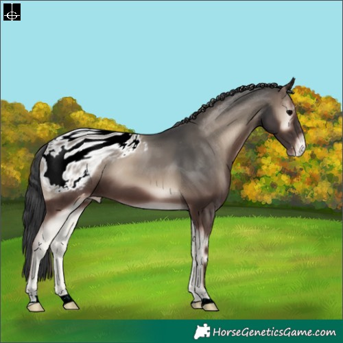 Horse Color:ERROR: UNKNOWN ANOMALY