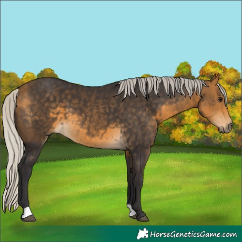 Horse Color:Silver Buckskin