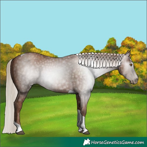Horse Color:Gray Silver Black Pearl Tobiano