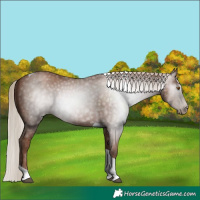 Horse Color:Gray Silver Black Pearl Tobiano 