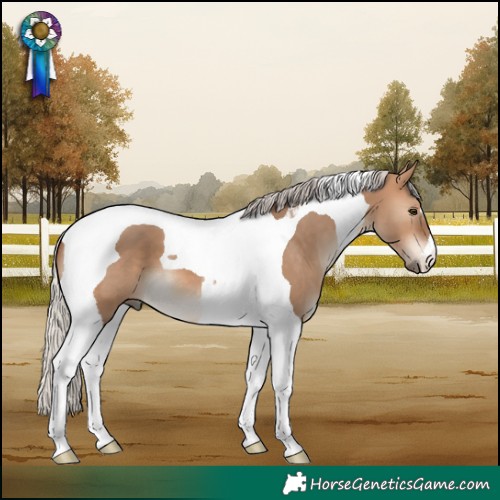 Horse Color:Silver Brown Dun Tobiano