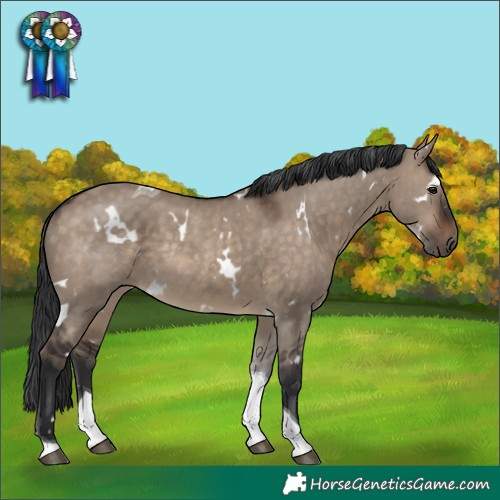 Horse Color:White Spotted Brown Dun Tobiano Rabicano