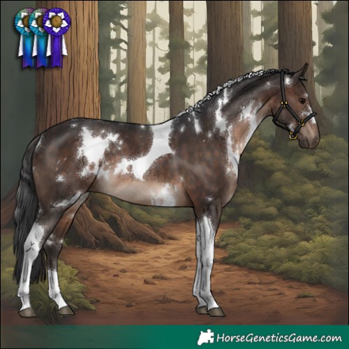 Horse Color:White Spotted Brown Tobiano Rabicano