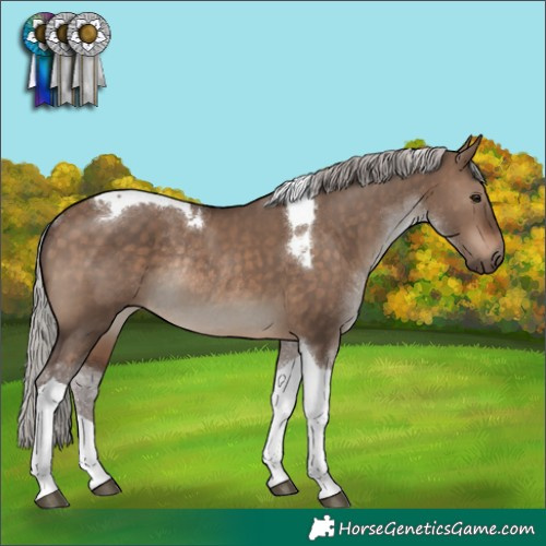 Horse Color:Silver Brown Dun Tobiano Rabicano 