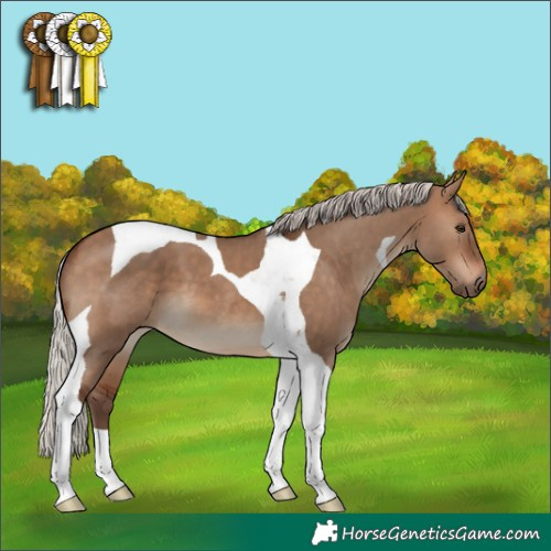 Horse Color:Silver Brown Dun Tobiano