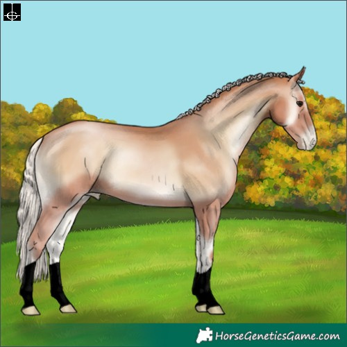 Horse Color:Silver Blue Onyx Pearl