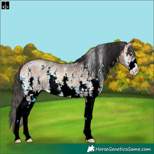 Horse Color:Brown Onyx Sabino