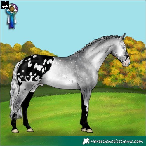Horse Color:Silver Brown Chinchilla Onyx Sabino Appaloosa Rabicano 