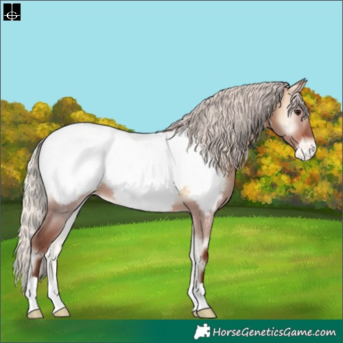 Horse Color:Silver Brown Onyx Near Fewspot