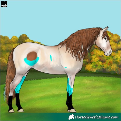 Horse Color:ERROR: UNKNOWN ANOMALY