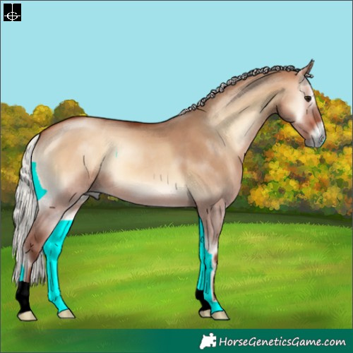 Horse Color:Silver Bay Onyx 