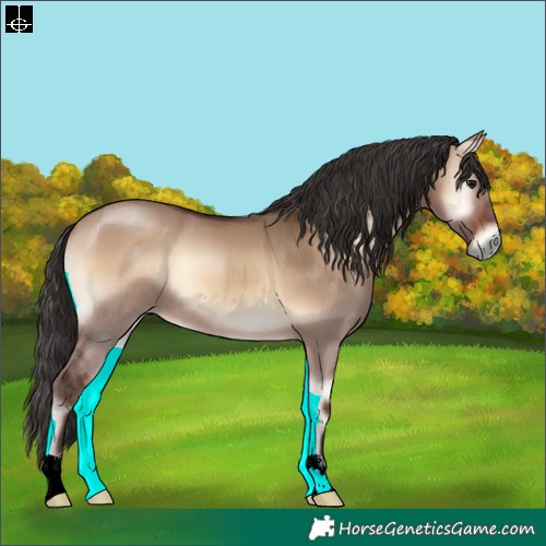 Horse Color:Brown Onyx