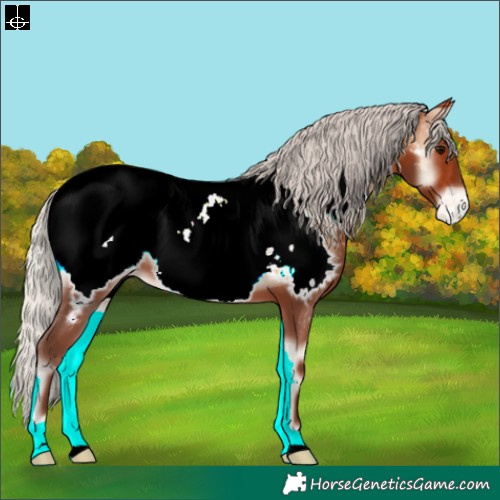 Horse Color:Silver Bay Onyx Near Fewspot 