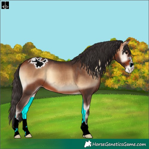 Horse Color:Bay Onyx Varnish 