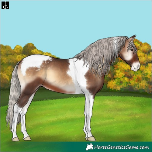 Horse Color:Silver Brown Onyx Tobiano Varnish