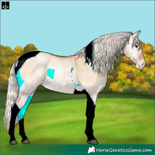 Horse Color:Silver Brown Pearl Onyx Tobiano Rabicano