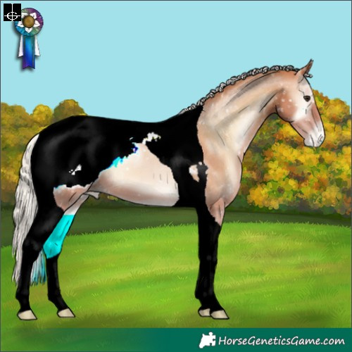 Horse Color:Silver Brown Pearl Onyx Tobiano Appaloosa