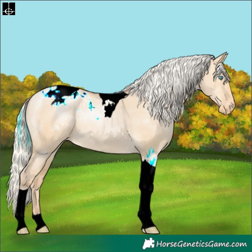 Horse Color:Silver Buckskin Pearl Dun Tobiano Varnish
