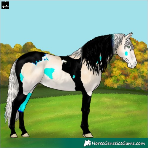 Horse Color:Silver Buckskin Pearl Onyx Tobiano Varnish