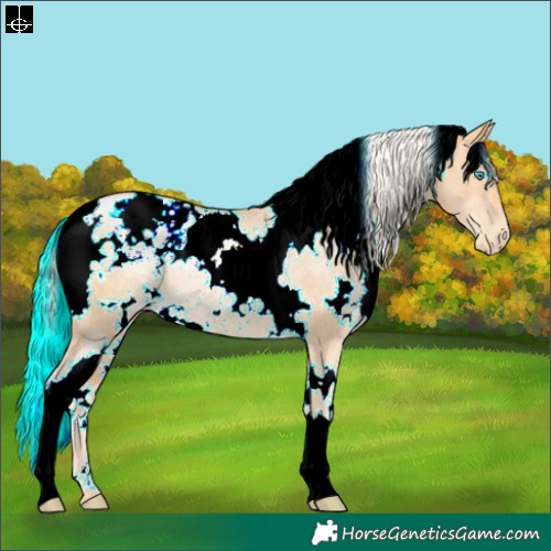 Horse Color:White Spotted Silver Buckskin Pearl Varnish Rabicano 