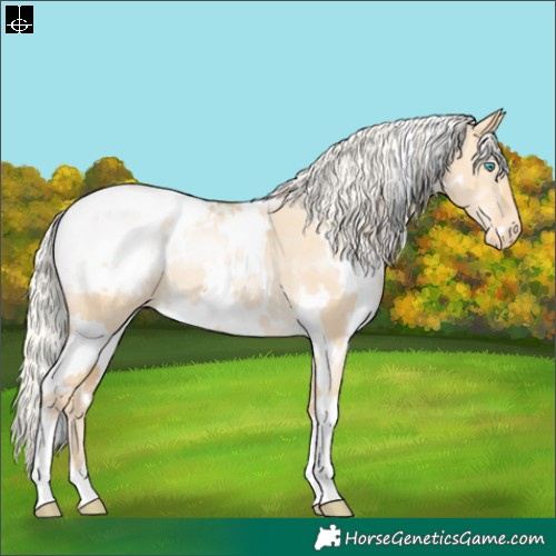 Horse Color:White Spotted Silver Buckskin Pearl Dun Blanket 