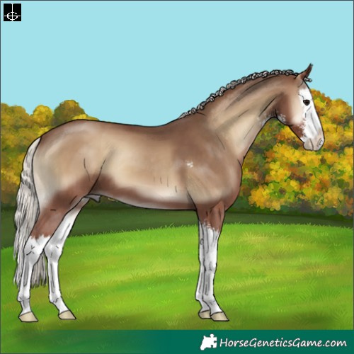 Horse Color:Silver Blue Onyx Sabino Splash