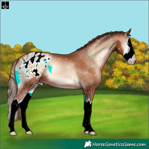 Horse Color:Brown Pearl Onyx Sabino Splash Appaloosa
