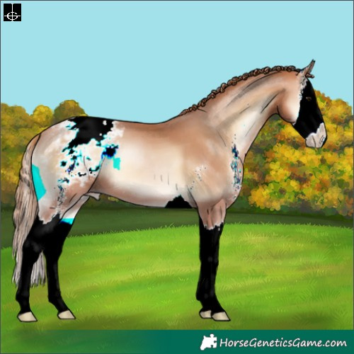Horse Color:Brown Pearl Onyx Sabino Splash Appaloosa