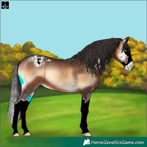 Horse Color:Brown Onyx Sabino Splash Varnish