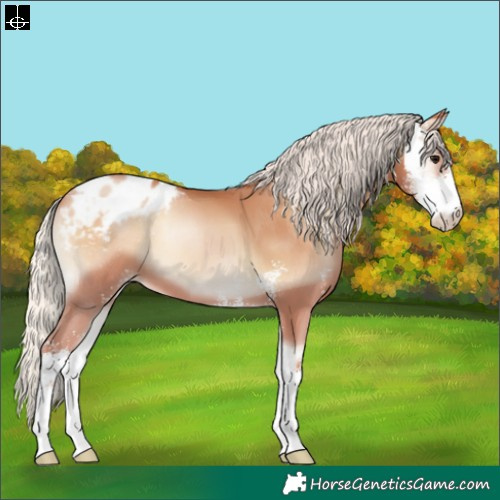 Horse Color:Silver Blue Onyx Pearl Sabino Blanket