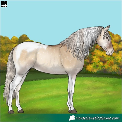 Horse Color:Gray Silver Grullo Pearl Onyx Tobiano Snowcap