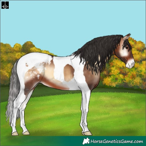 Horse Color:Brown Onyx Tobiano Snowcap