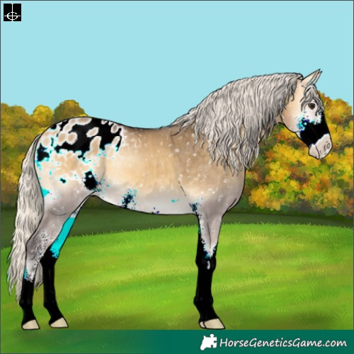 Horse Color:Silver Buckskin Onyx Sabino Blanket 