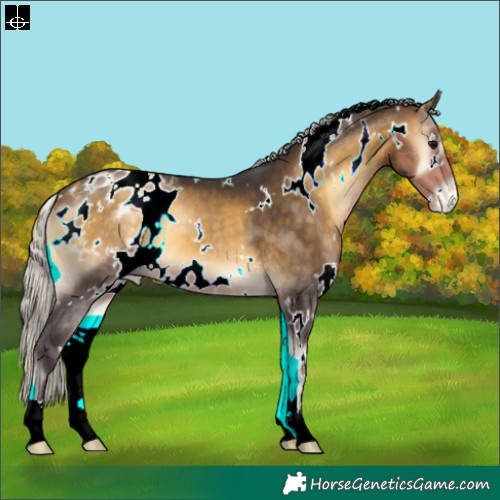 Horse Color:White Spotted Silver Buckskin Onyx Appaloosa